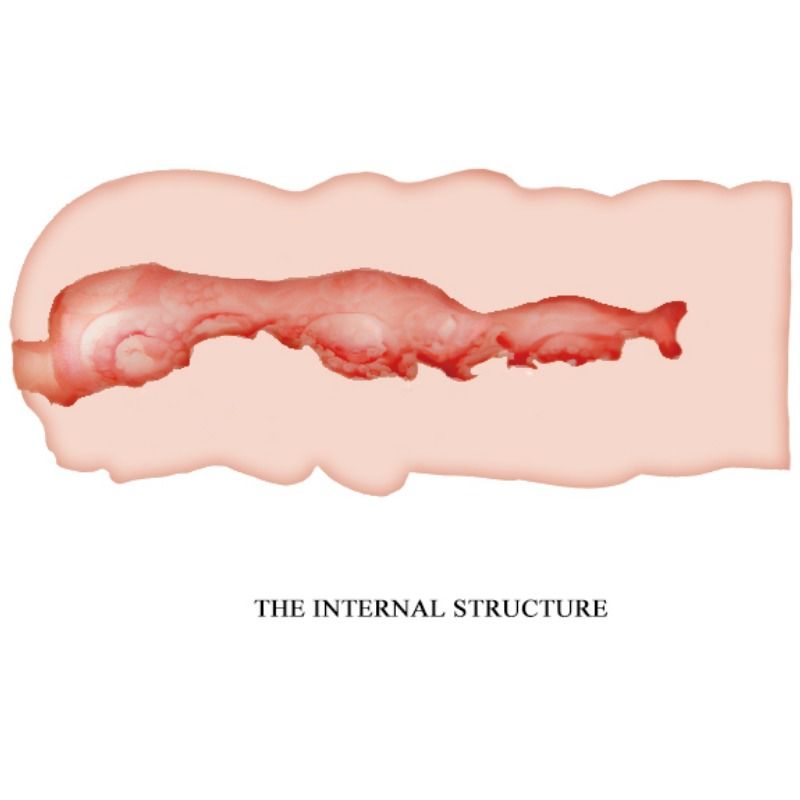 Masturbator Vagina, Crazy Bull - Isabel, Submersibil, 13.5 CM